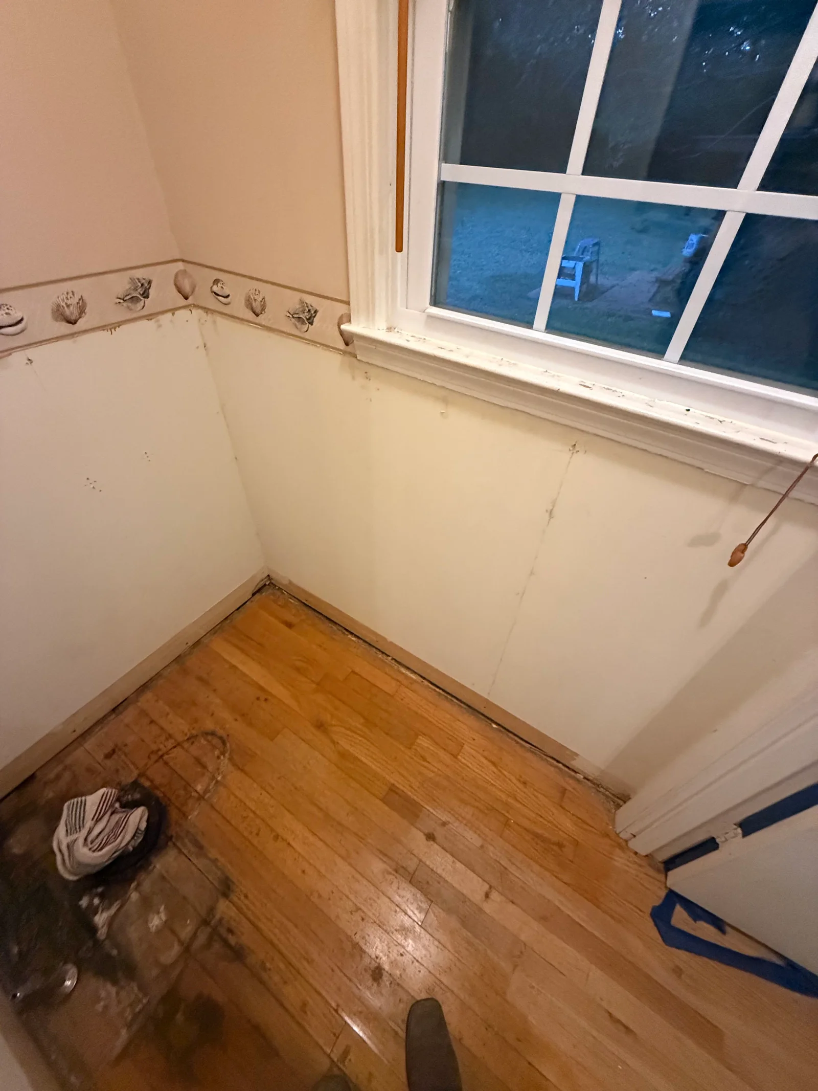 Cream drywall walls with shell-pattern chair rail trim, white painted baseboards and window trim, hardwood floor